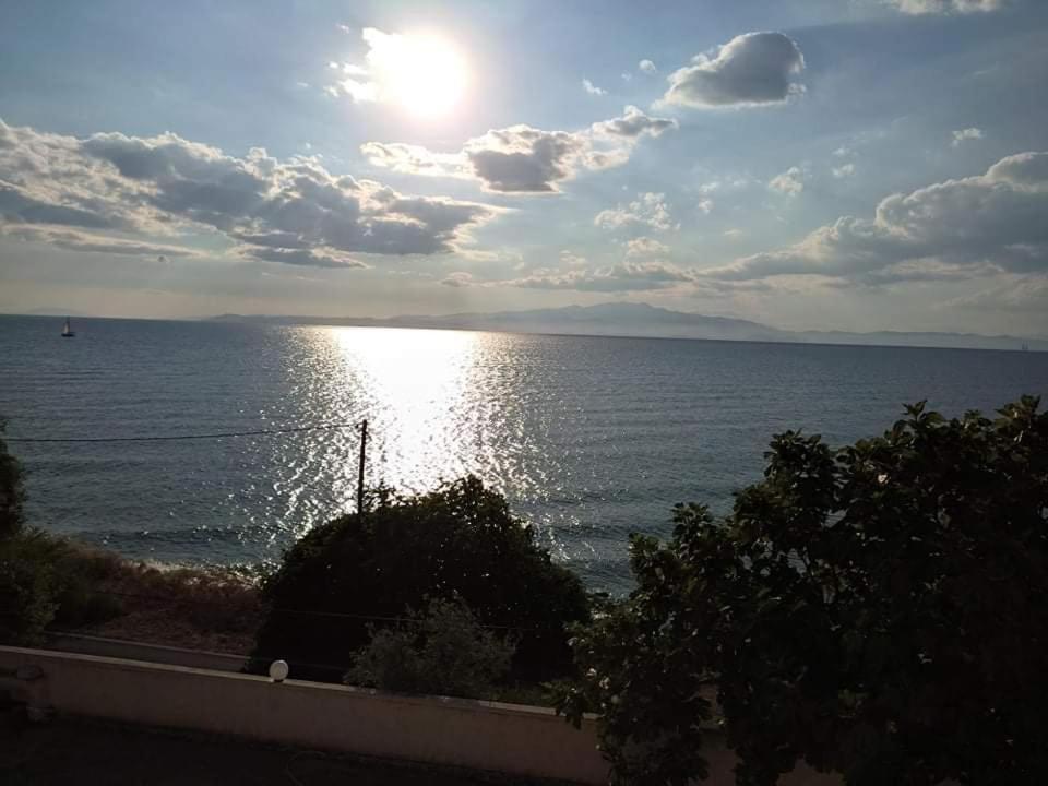 Karantola Studios Kallirachi Skála Kallirákhis Dış mekan fotoğraf