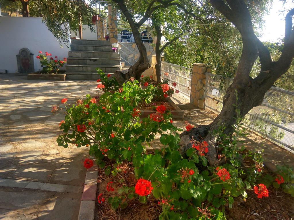 Karantola Studios Kallirachi Skála Kallirákhis Dış mekan fotoğraf